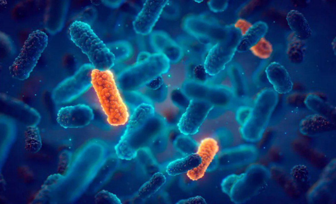 Bacterias, virus, toxinas… ¿estás cuidando tu salud?