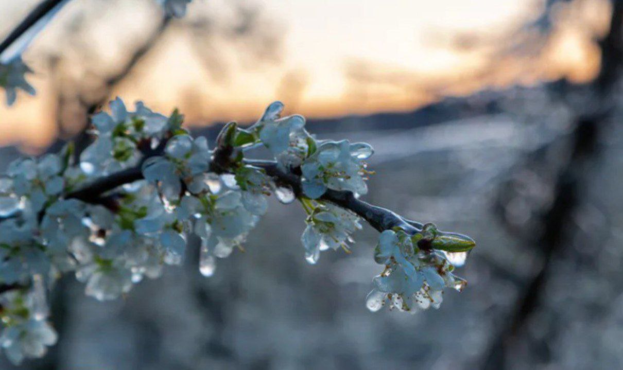 ¿En dónde y en qué ha invertido su tiempo?