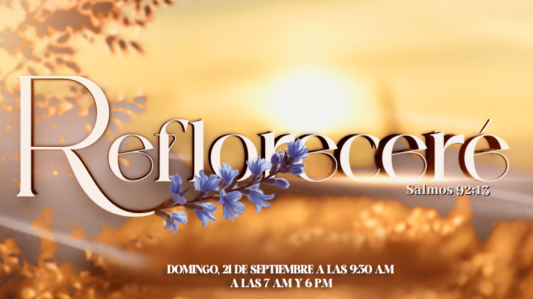 ¡Refloreceré | Este domingo en todas las Universal!